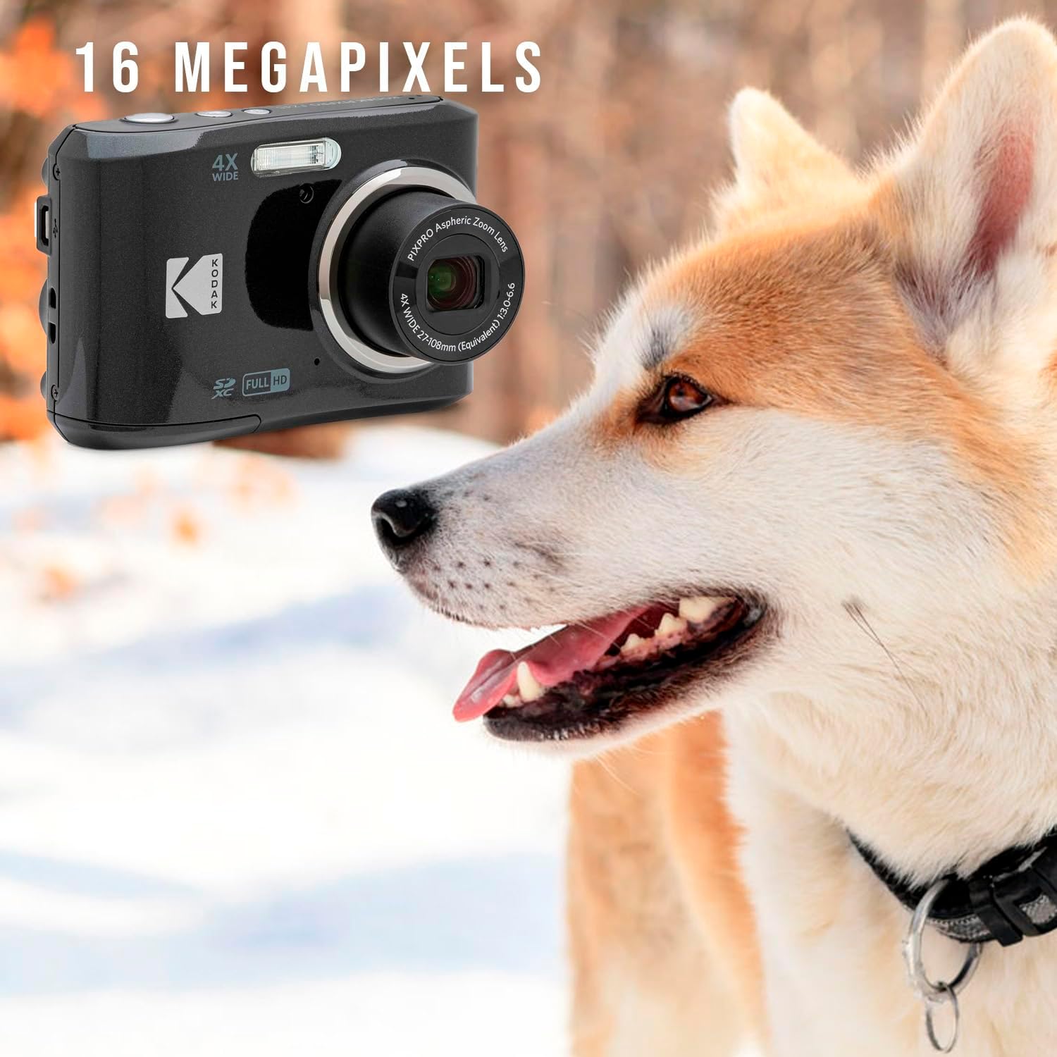 Kodak PIXPRO FZ45 Digital Camera (Black) Bundle with 32GB Class 10 UHS-I U1 SDHC Memory Card and AA High-Performance Alkaline Batteries (4-Pack) (3 Items)