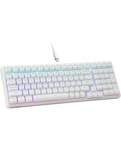HUO JI E-Yooso Creamy Mechanical Keyboard Wired, Hot Swappable, Pre-lubed Linear Switches, Gasket Structure with Sound Dampening Foam, RGB Backlit, 99 Keys Custom Gaming Keyboard for PC/Mac,White